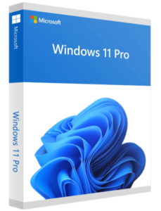 Windows 11 pro